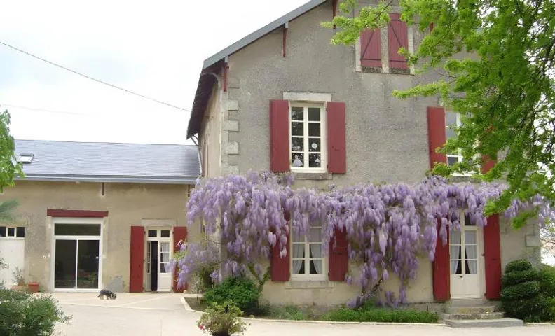 Les Vieilles Vignes