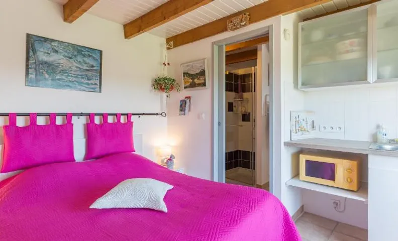 Chambre du Raisin