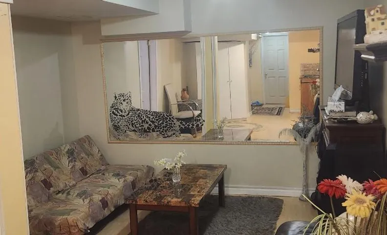 Quiet Basement in Markham