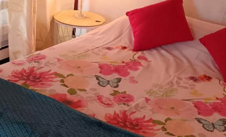 chambre d'hôte la maison verte