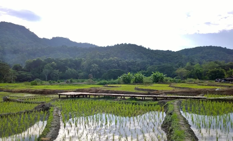 부룬 부리 리조트