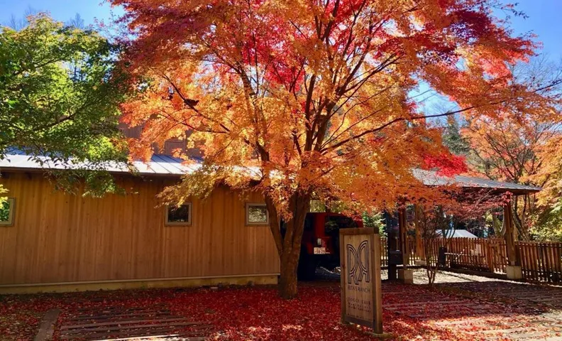 RITA'SRANCH MinamiKaruizawa