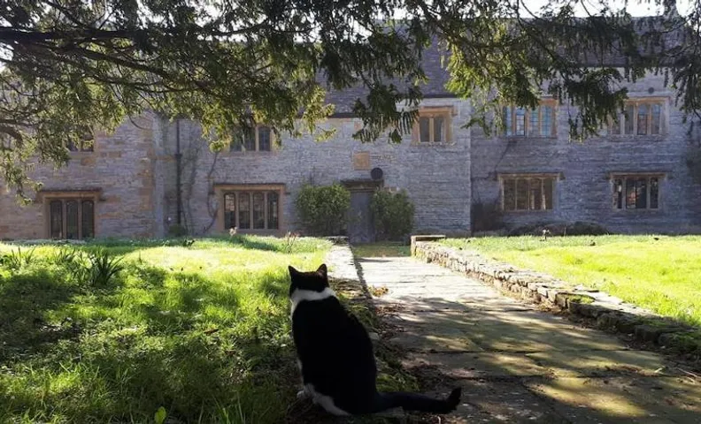 The Manor House, Curry Mallet