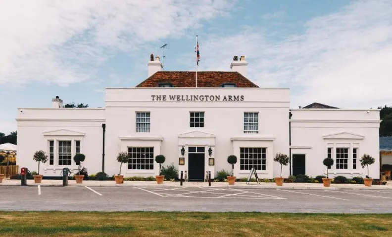 The Wellington Arms - Basingstoke-Reading