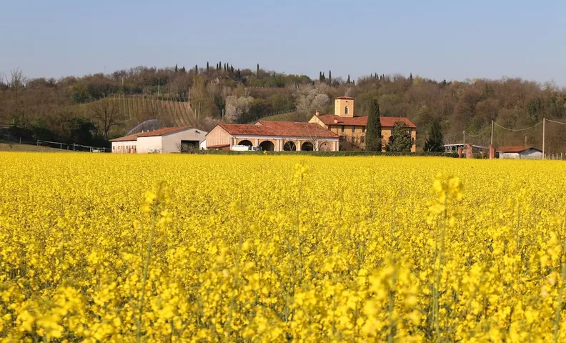 Agriturismo Tenuta Le Sorgive