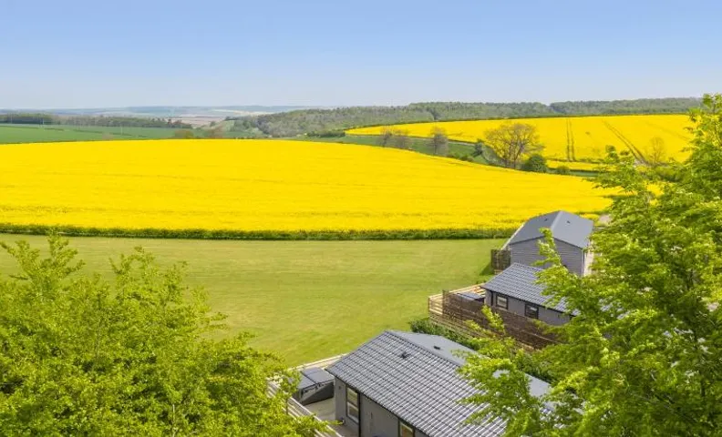 Wolds Away