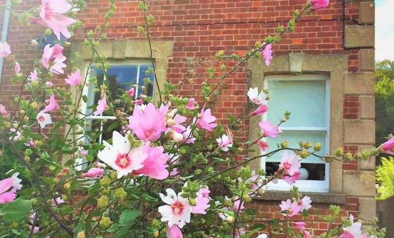 Bridport Garden Suite