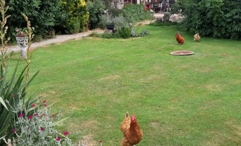 La ferme sympa