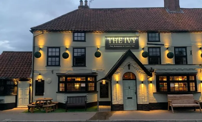 The Ivy