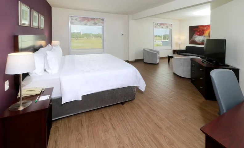 홀리데이 인 레이노사 인더스트리얼 포니엔테 바이 IHG