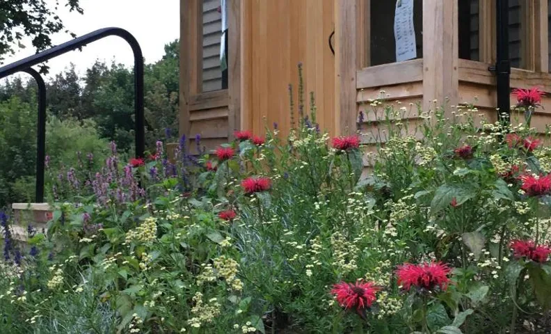 South Downs Eco Lodge & Camping