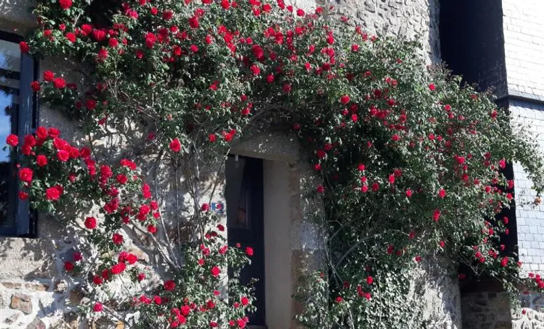 Chambre d'hôtes dans maison de charme