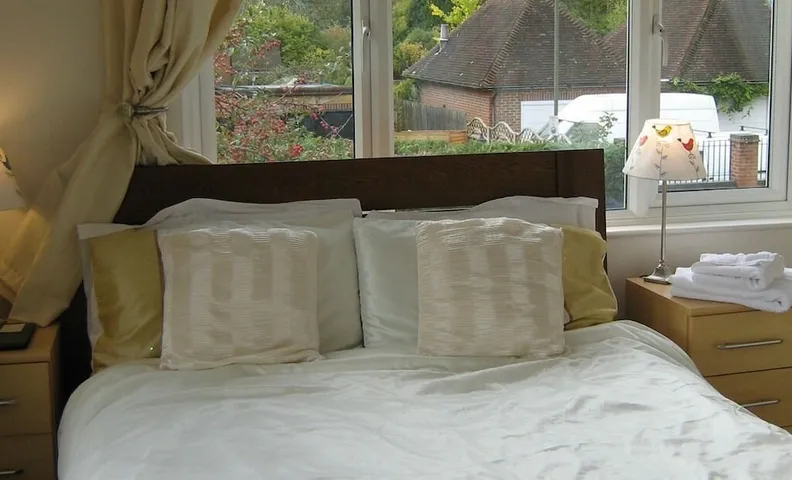 사바나 B&B