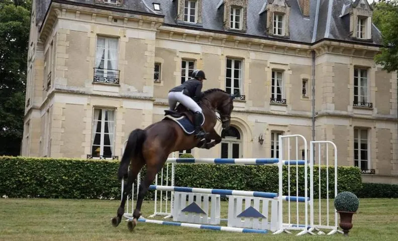 Chateau des Trois Brioux