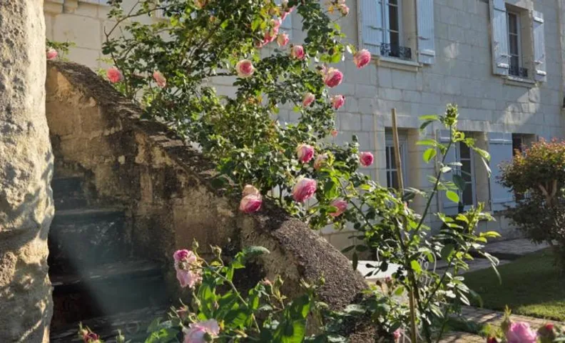 Au pied du Lavoir Chambre Odile