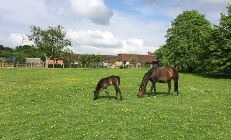 Three Chimneys Farm Accommodation