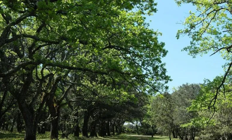 Le cabanon de la bergerie