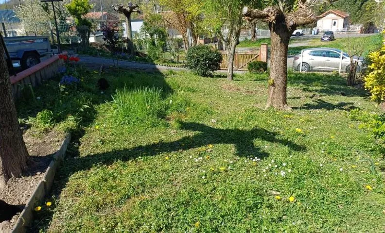 AïnaPat