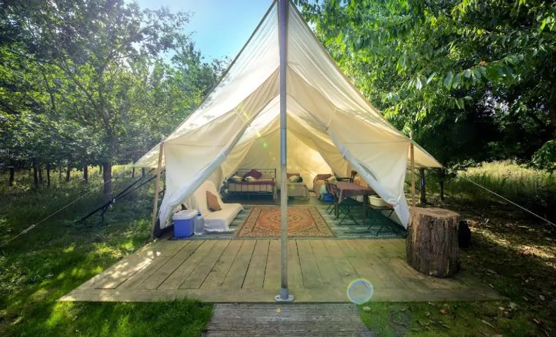 DGG Woodland Escape