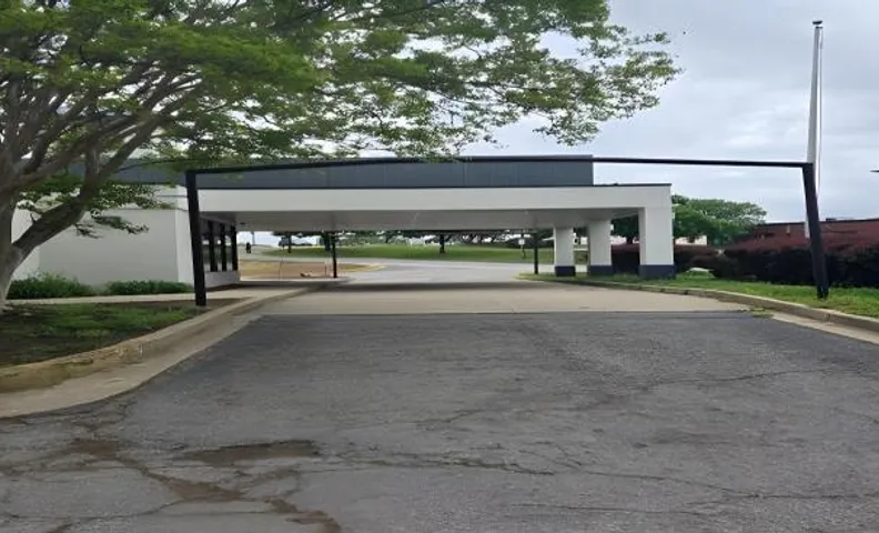 Bloomfield Oasis