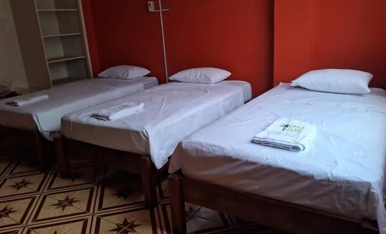 Plaza Jungle Hostel