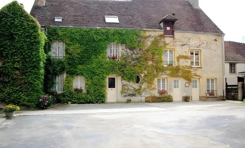 La Vigne Vierge