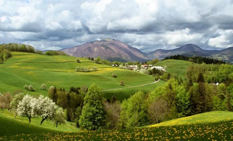 Tourist Farm Ljubica