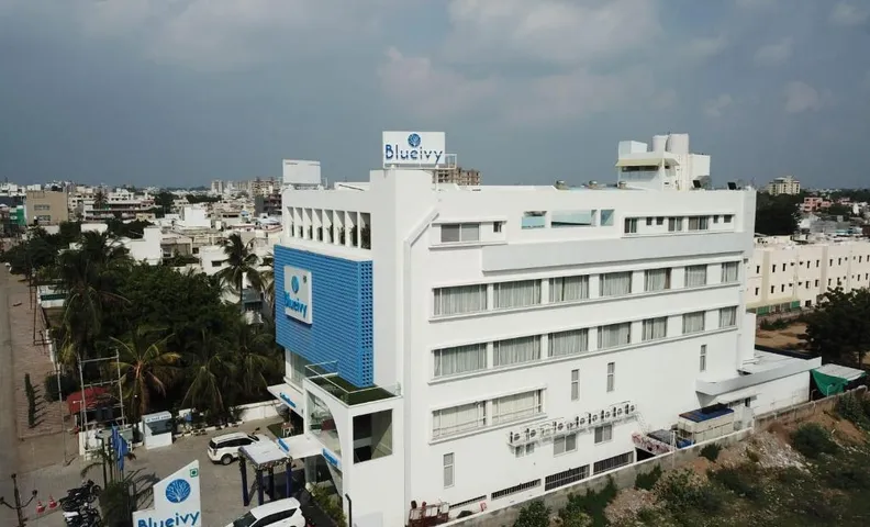Hotel Blueivy