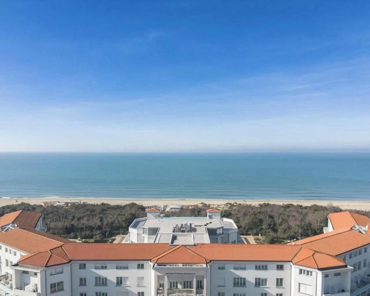 기본 이미지