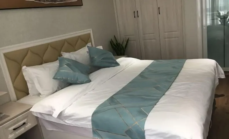 shanshui Collection Hotel (Shucheng Huaqiao Road Wanda Plaza)