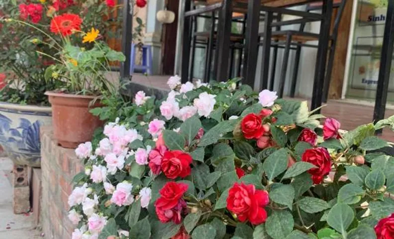 Phương Linh Hotel