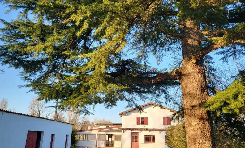 Auberge du Trinquet