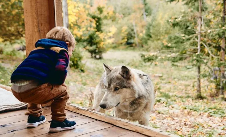 Parc Omega