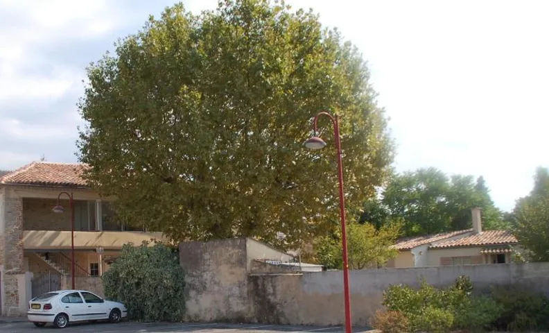 La maison d'Offaly