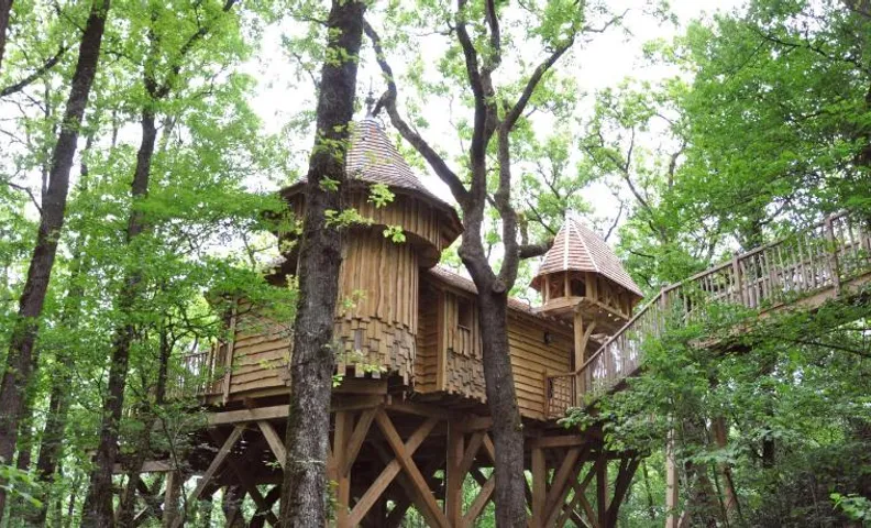 Châteaux dans les Arbres