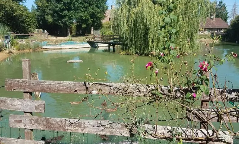 Ferme bressane les Arums