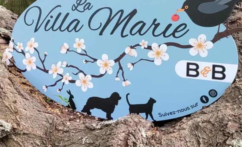 LA VILLA MARIE