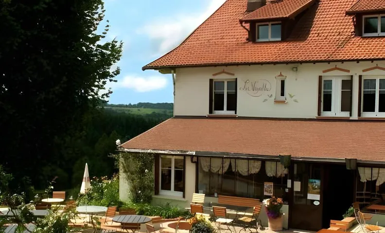Logis Hotel la Vigotte