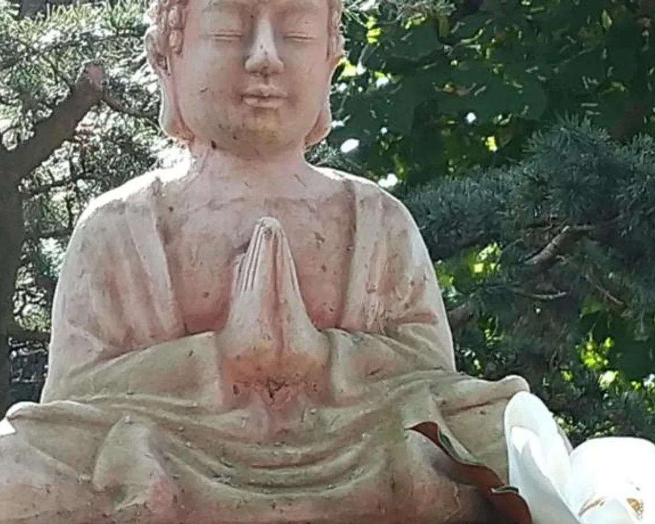 정원
