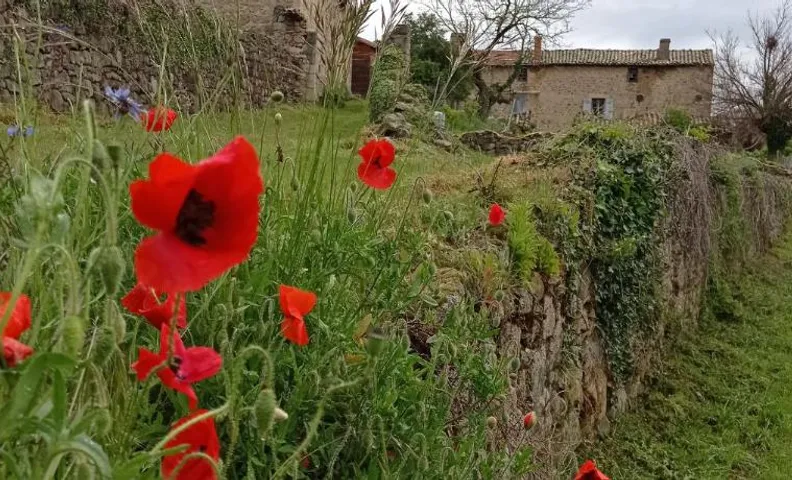 la ferme de fenivou