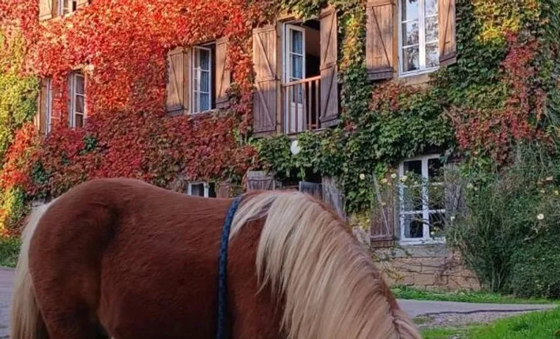 Le moulin de vaux