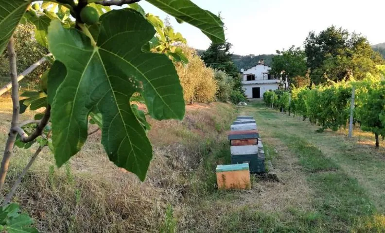 Naturaliterre Agriturismo - Microfattoria