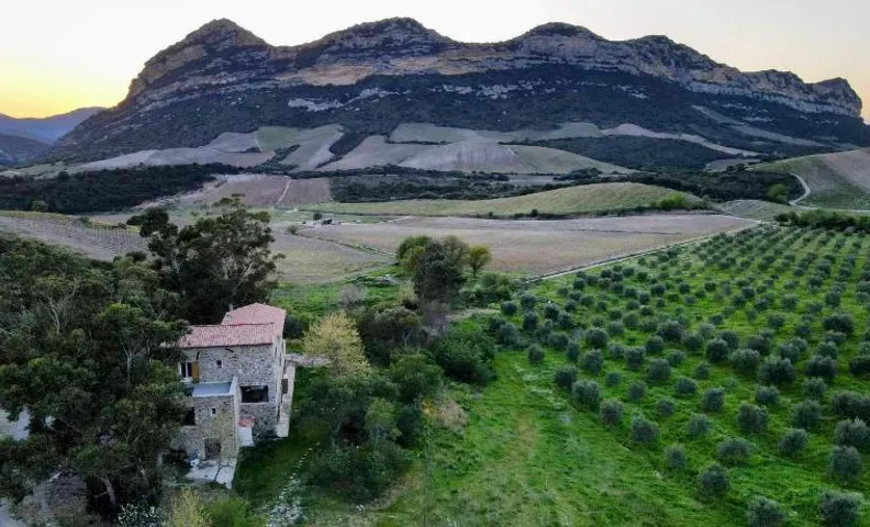 MULINU BIANCU