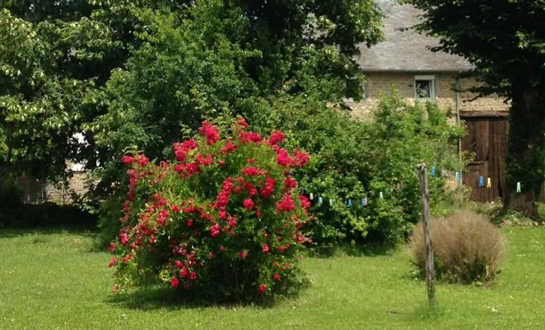 gîte le tilleul de la Fontaine