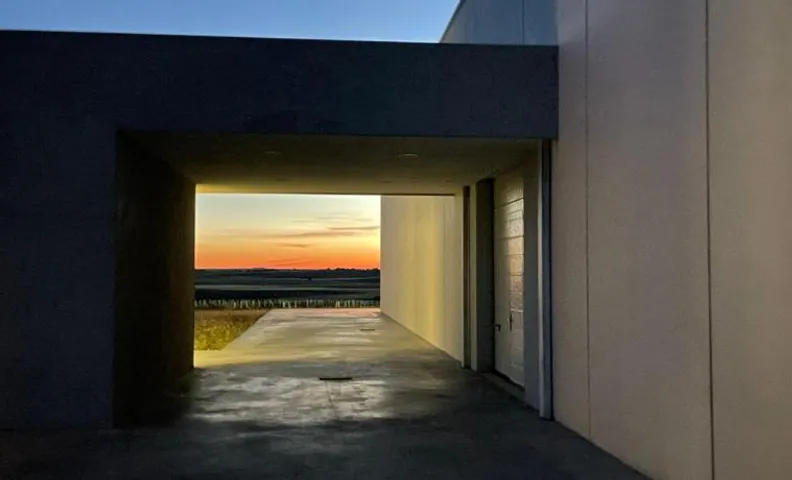 Bodega Díscolo