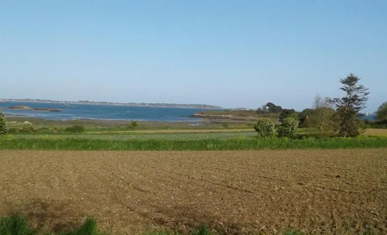 Tiny house sur la Presqu'île Sauvage