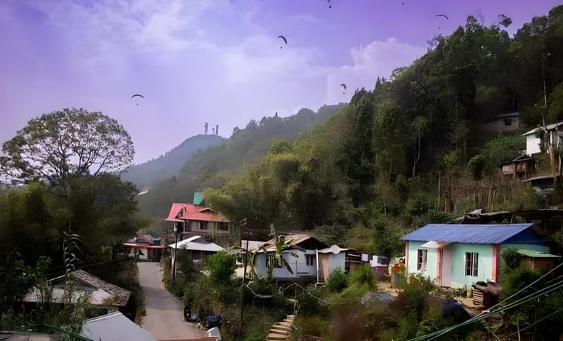 The Black Conch, Homestay