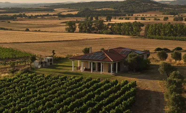 Villa Colle dei Vigneti - Sardinian Vineyard Estate