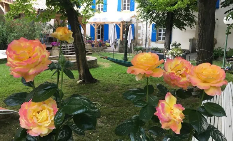 La Vie en Roses