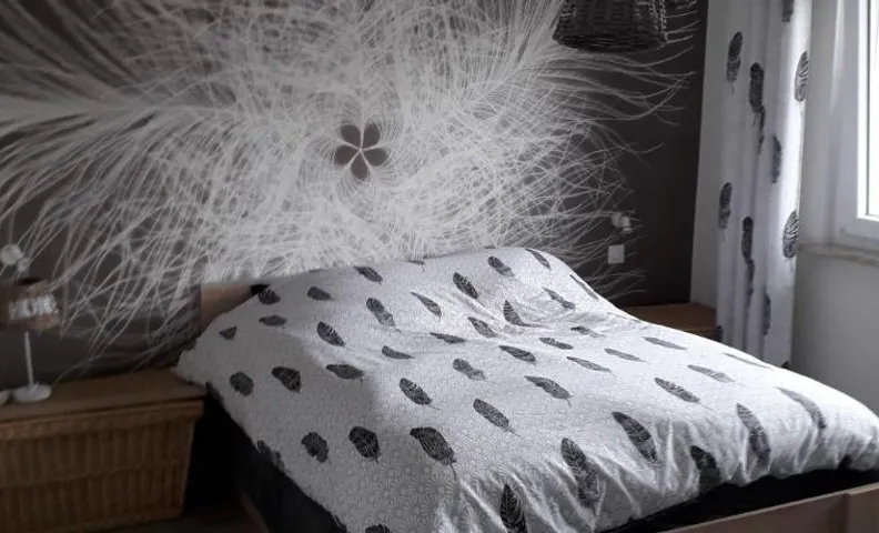 La chambre Plume
